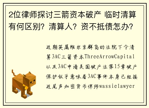 2位律师探讨三箭资本破产 临时清算有何区别？清算人？资不抵债怎办？